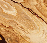 Exotic Stonewood